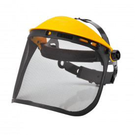 Browguard with Mesh Visor