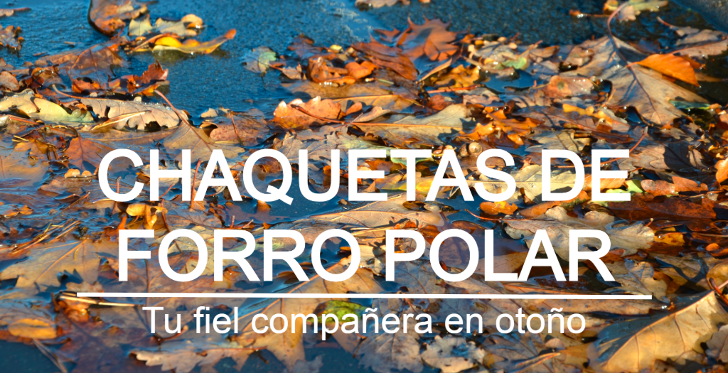 Imagen de portada otoñal con hojas húmedas y coloridas en la calle. Letras blancas: Chaquetas de forro polar: tu fiel compañera en otoño.