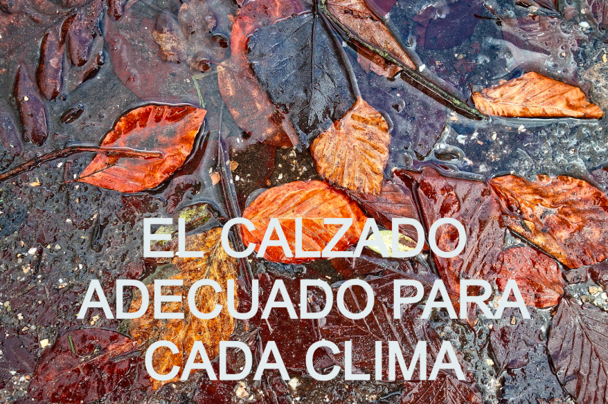 Hojas otoñales de colores sobre un suelo mojado por la lluvia. En letras blancas se lee el eslogan: 'El calzado adecuado para cualquier clima'. Hay un enlace a nuestros zapatos Aqua.
